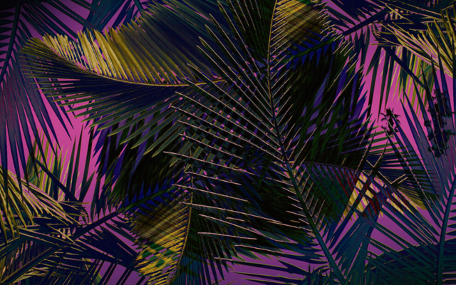 captura_de_ecra_2020_03_04__as_17_30_43