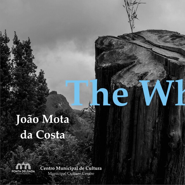 joao_mota_da_costa_imagem_ocs