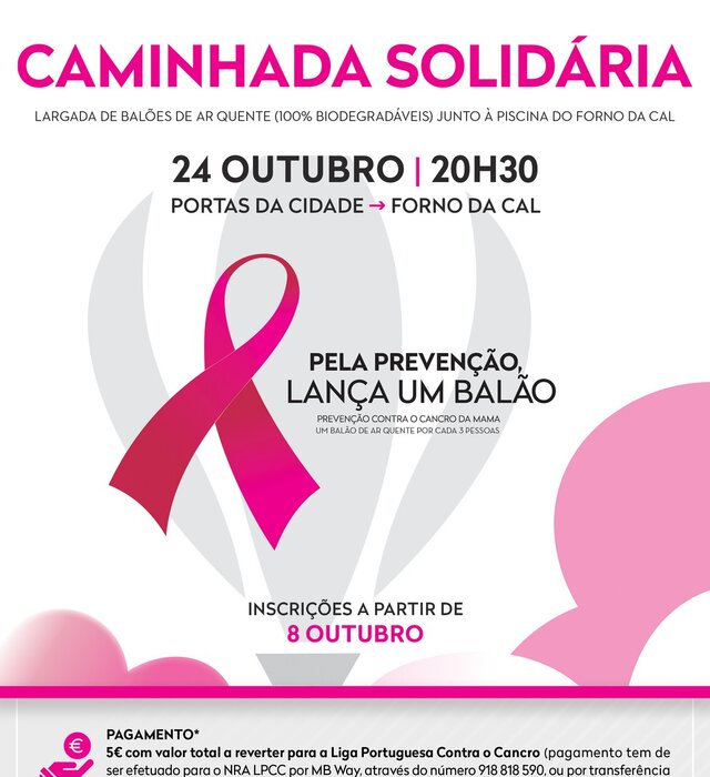 cartaz_caminhada_solidaria_2025___redes_sociais