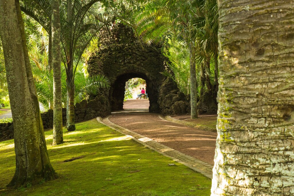 Jardim António Borges encerrado segunda-feira