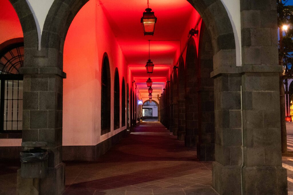 Ponta Delgada associa-se ao Movimento "Dia de doar"