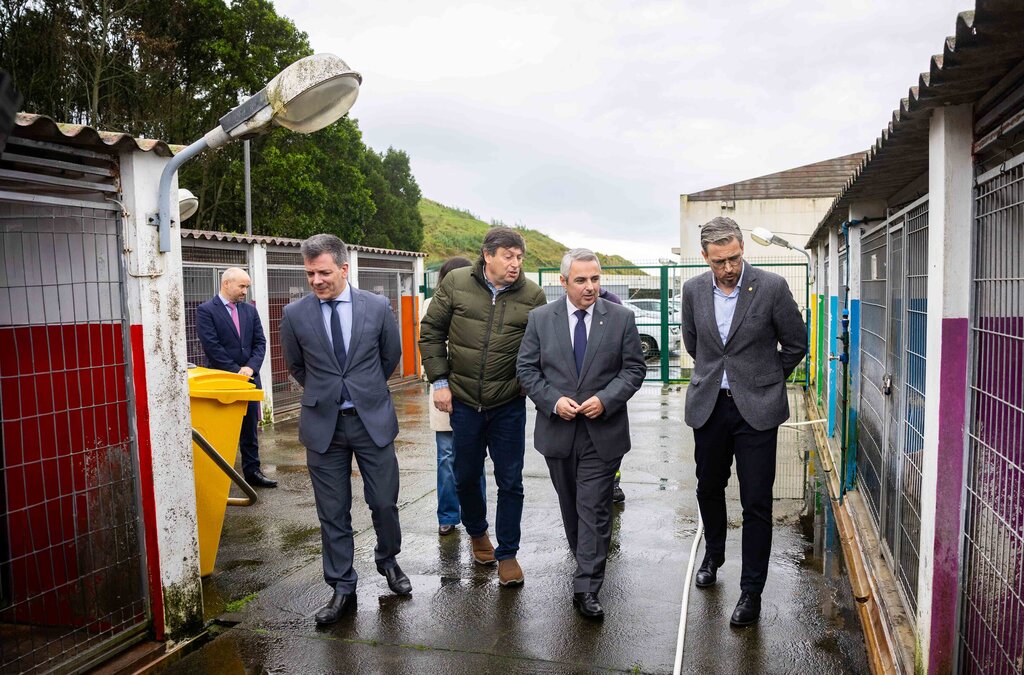 Bastonário da Ordem dos Médicos Veterinários diz que Ponta Delgada “é exemplo” nas políticas diri...