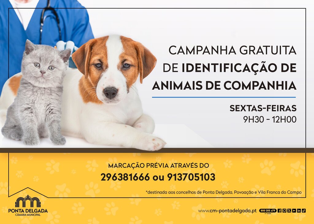 Campanha de identificação animal gratuita em Ponta Delgada