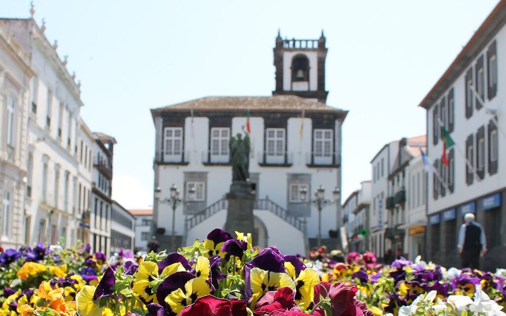 Câmara Municipal de Ponta Delgada exerce direito de preferência do terreno do Parque de Máquinas