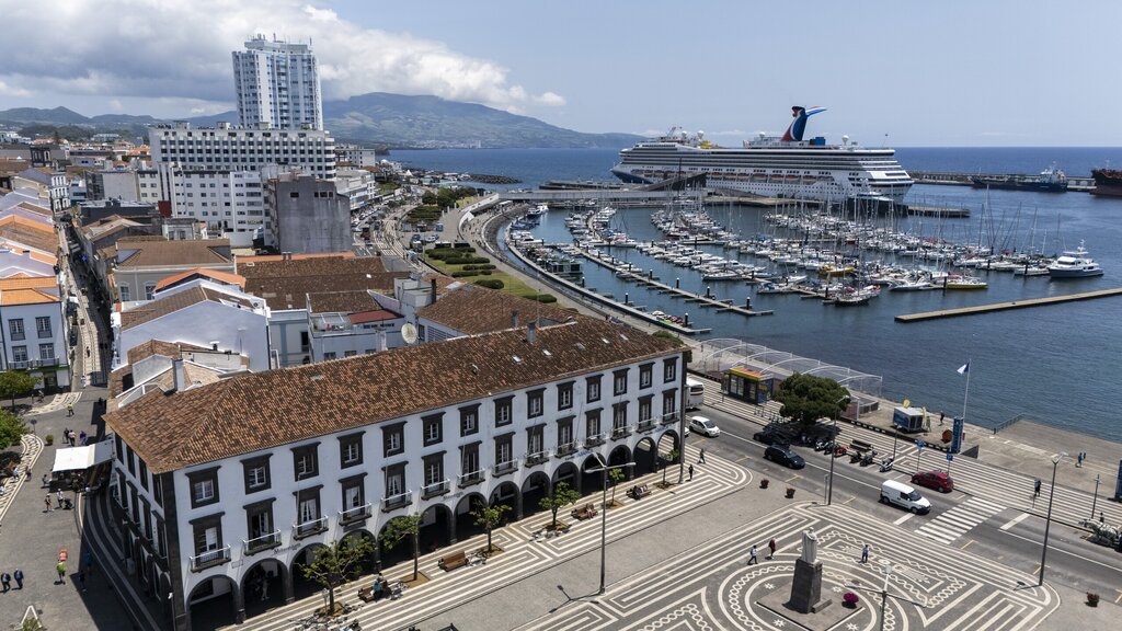 Câmara Municipal de Ponta Delgada cria Conselho Municipal de Turismo 